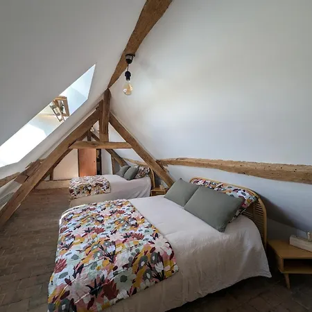 Apartment Comble En Centre De